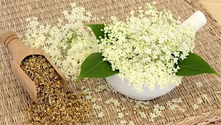 Gras voor de behandeling van artrose