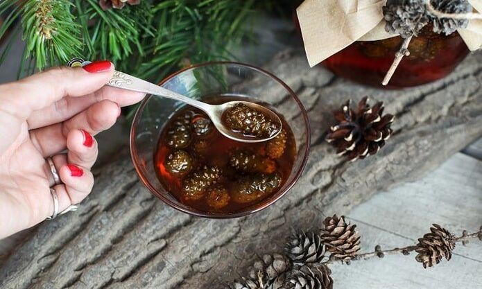 Tinctuur op basis van dennenknoppen voor de behandeling van cervicale osteochondrose thuis